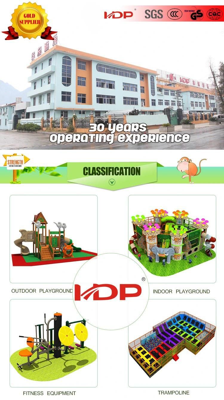 Environmental Friendly and Smelless Colorful Outdoor Kids Playground with CE/ASTM/TUV/GS Certificates