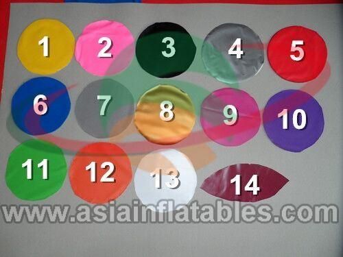 Customized Water Roller Inflatable Rolling Wheel for Water Park