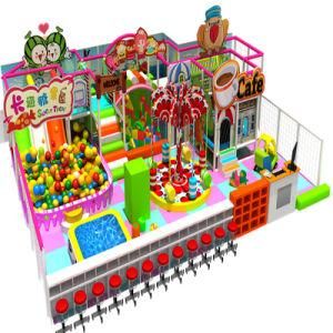 2015 Top Quality Standard&prime;s Kids Indoor Playground