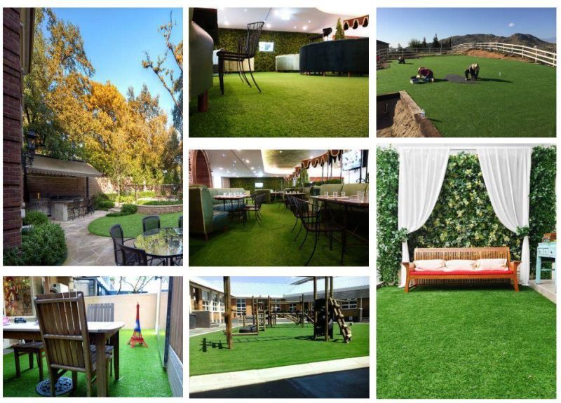 Child and Dog Artificial Turf