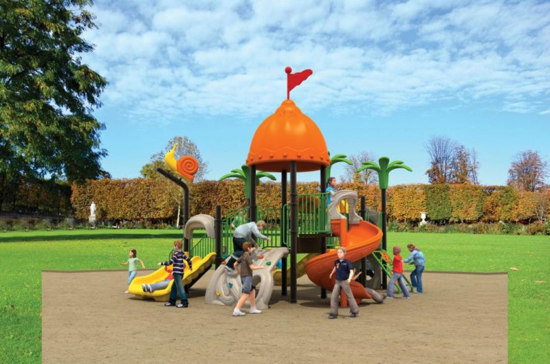 Big Children Outdoor Playground Equipment (TY-40412)