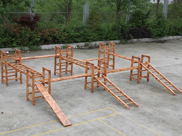 Customized Kindergarten Outdoor Wooden Backyard Playsets Climbing Frame for Kids
