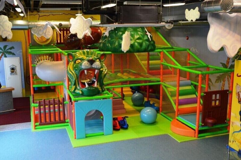 Commercial Large Indoor Playground for Kids (TY-41432)