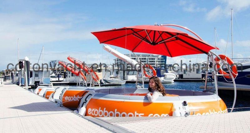 BBQ Donut Boat and Water Leisure Boat