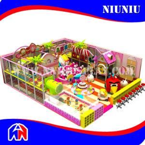 Fascinating and Design Indoor Playground