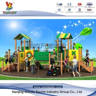 Wooden Outdoor Gymnastic Playground Slide Equipment