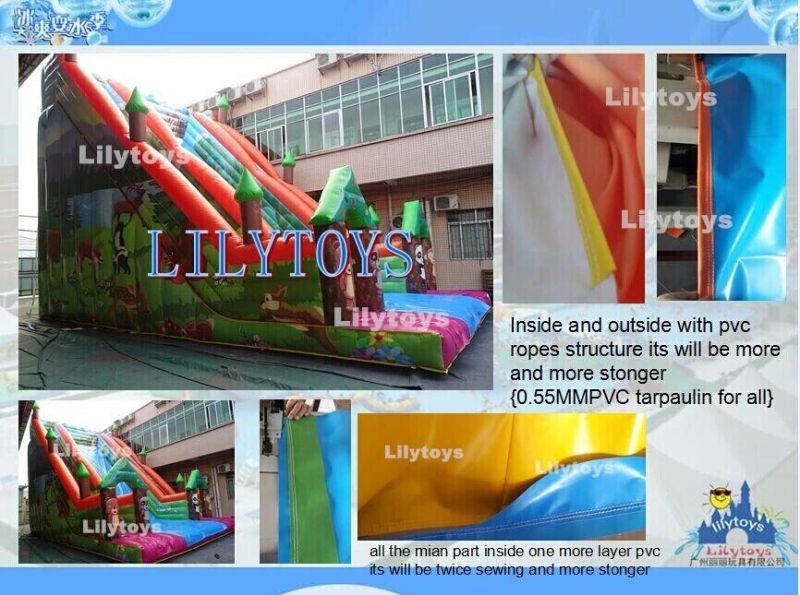 Nice Color Newest Inflatable Football Field with Post for Team