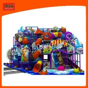 Newest Shopping Mall Naughty Castle Indoor Play Center Playground
