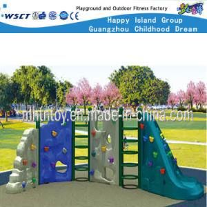 Direct Hold Assembling Climbing Playground Equipment (HF-19306)
