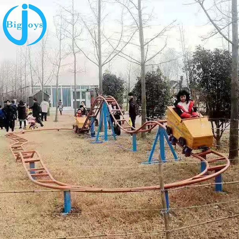 Commercial Fairground Rides Home Use Roller Coaster for Sale