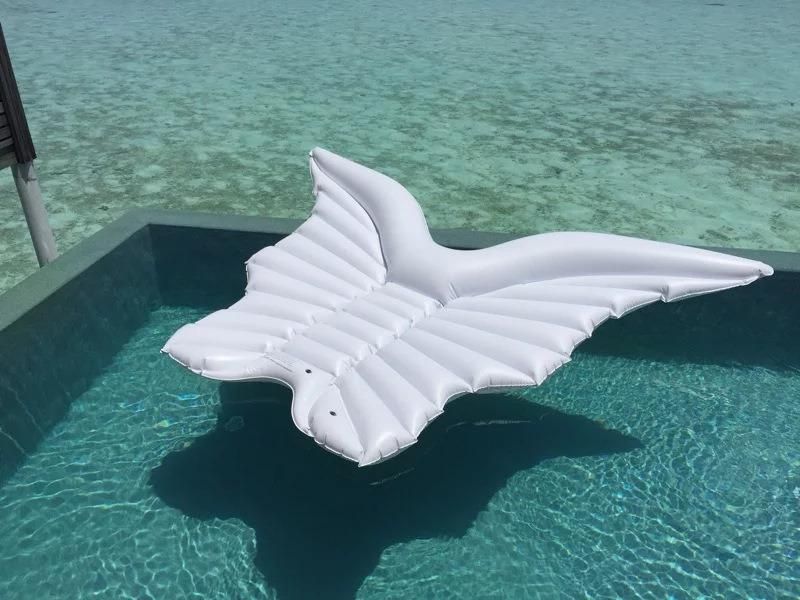 Swimming Pool PVC Water Play Equipment Inflatable Wings