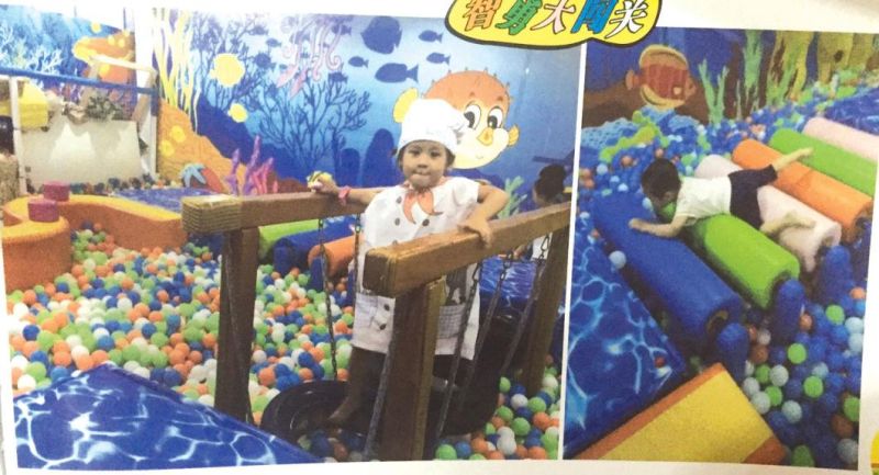 Forest Theme Toddles Indoor Playground (TY-17320-1)