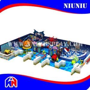 Big Inflatable Amusement Indoor Playground Equipment