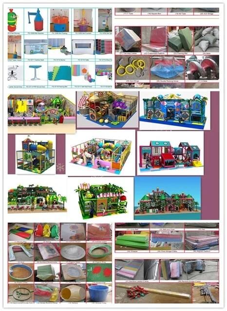 Many Function Indoor Play Structure and Amusement Park Playground (TY-130317A)