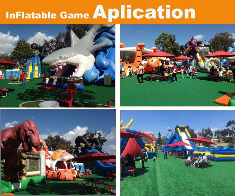 Commercial Grade Amusement Park Inflatable game Water Slide Inflatable Slide for Kids and Adults