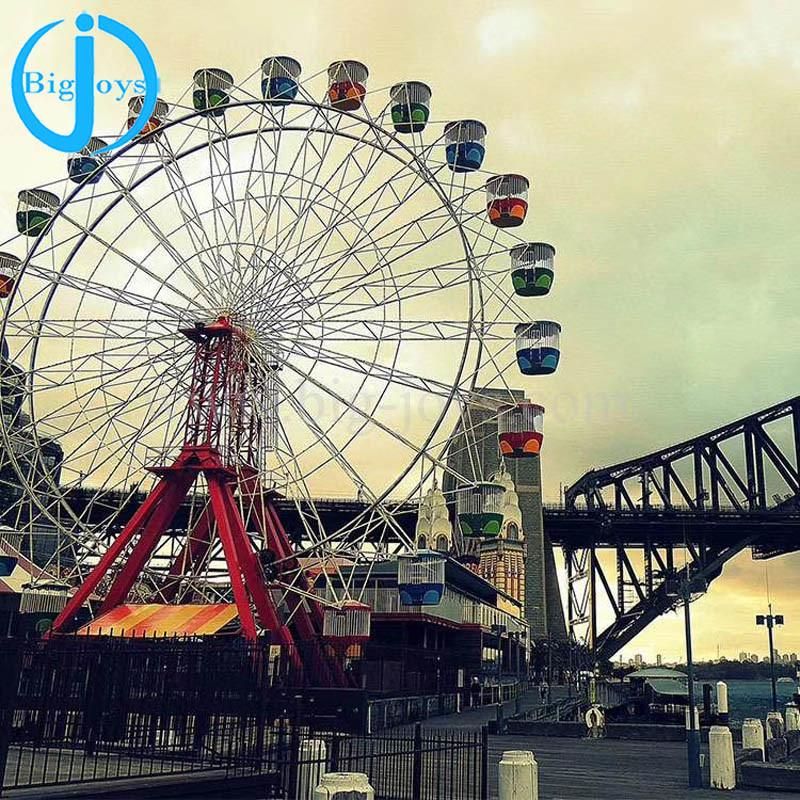 Amusement Park Ferris Wheel Rides