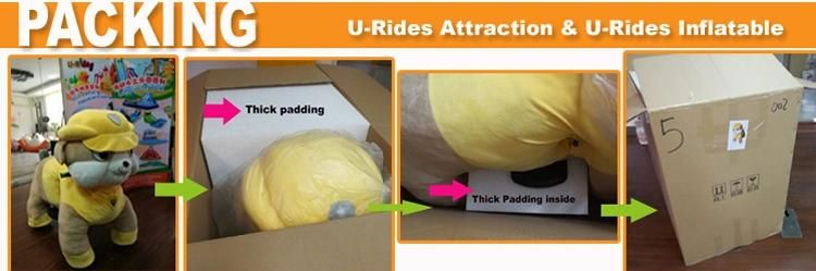 Horse Walking pony ride for adult