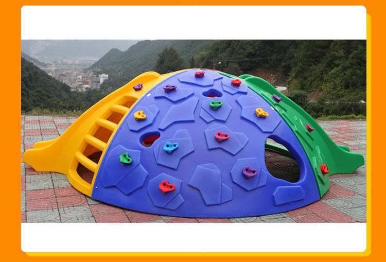 Indoor Outdoor Playground Equipment Plastic Climbing Wall with Slide Dome Toys
