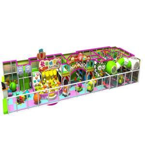 2015 Top Quality Standard&prime;s Kids Indoor Playground