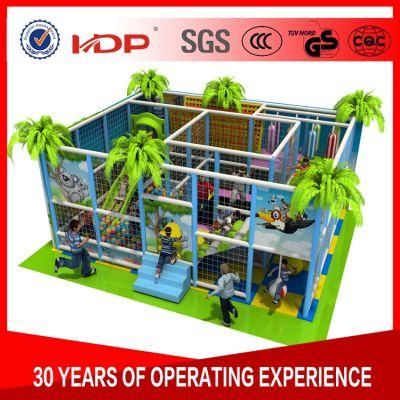 Eco-Friendly Kids Indoor Playground Jungle Gym Soft Play for Sale