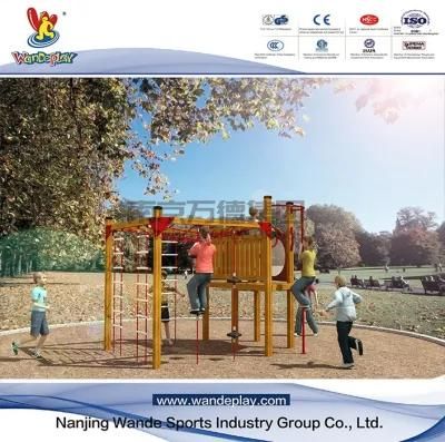 Commercial Kids Slide Equipment Plastic Outdoor Playground