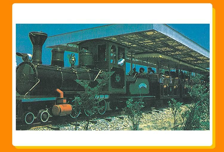 Amusement Park Rides Track Rocket Train Mini Electric Tourist Rrain Rides (KL6005)