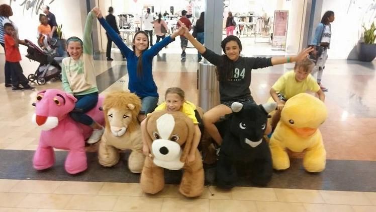 Horse Walking pony ride for adult