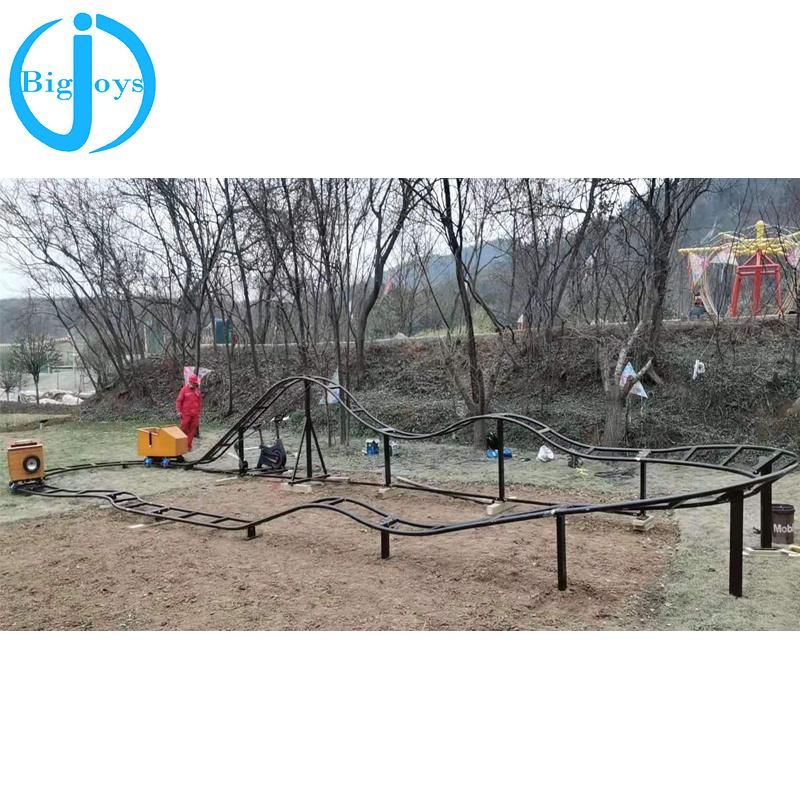 Commercial Fairground Rides Home Use Roller Coaster for Sale